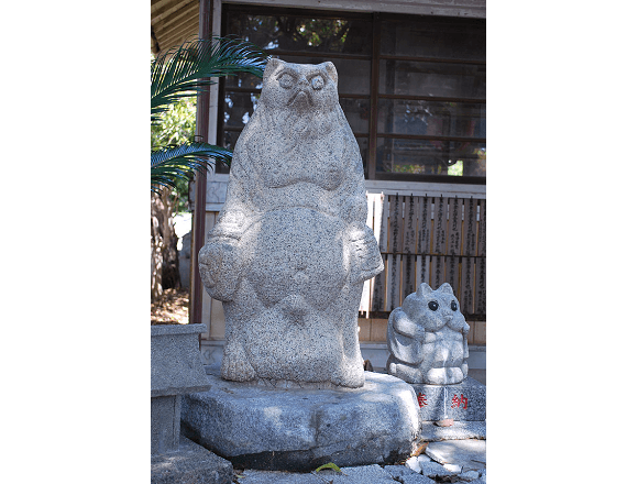  tanuki elders in Pom Poko